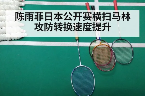 Chen Yufei badminton match